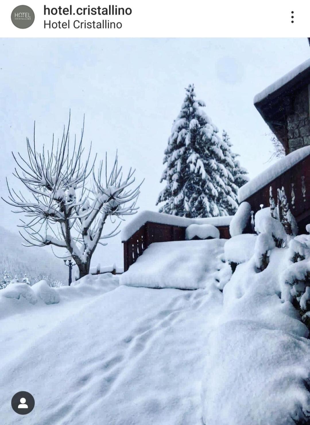 Hotel Cristallino Castione della Presolana Exteriör bild